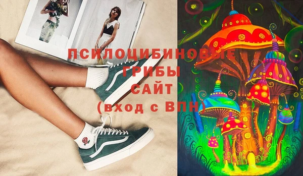 мдпв Богородск