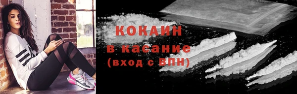 PSILOCYBIN Богданович