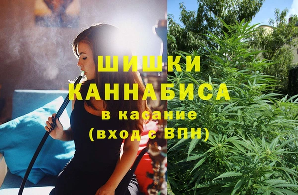 PSILOCYBIN Богданович