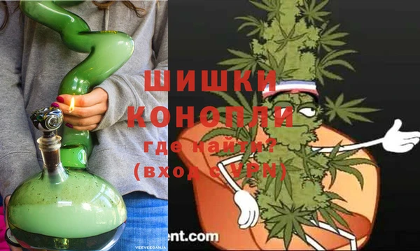 мдпв Богородск