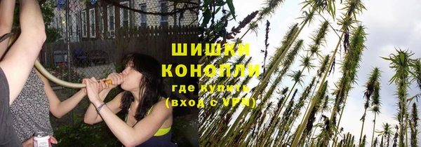 PSILOCYBIN Богданович
