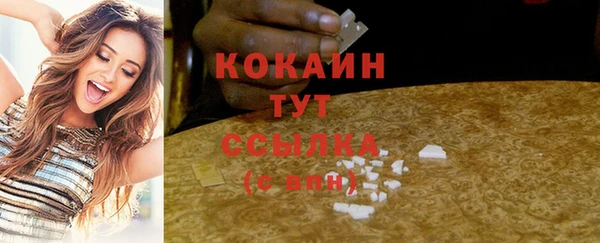 мдпв Богородск
