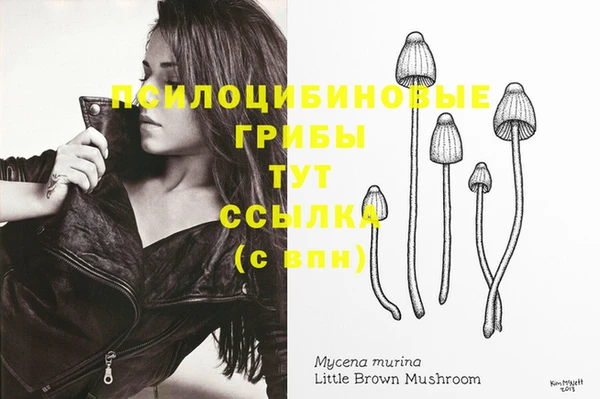PSILOCYBIN Богданович